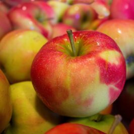 APPLE SEASON 2026