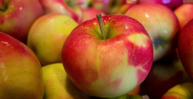 APPLE SEASON 2026
